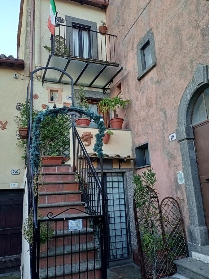 B&B Bellavista Bagnoregio Buitenkant foto